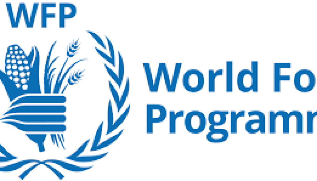 Reports Officer Vacancy-Job Ref: WJMRWFP/2407/2025825
