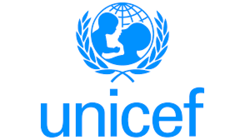 Information Comm. Technology Assistant Vacancy-Job Ref: WJMRUNICEF/2407/2025829